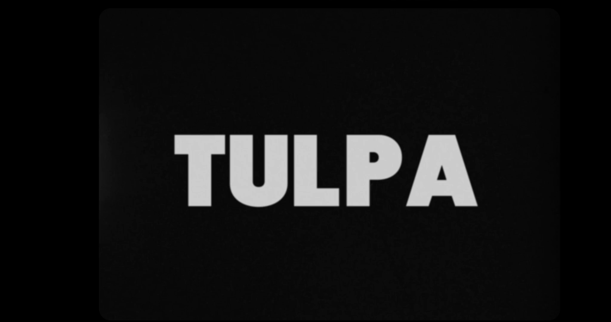 JOAQUIN WALL / PABLO HUERTA / TULPA / 2019