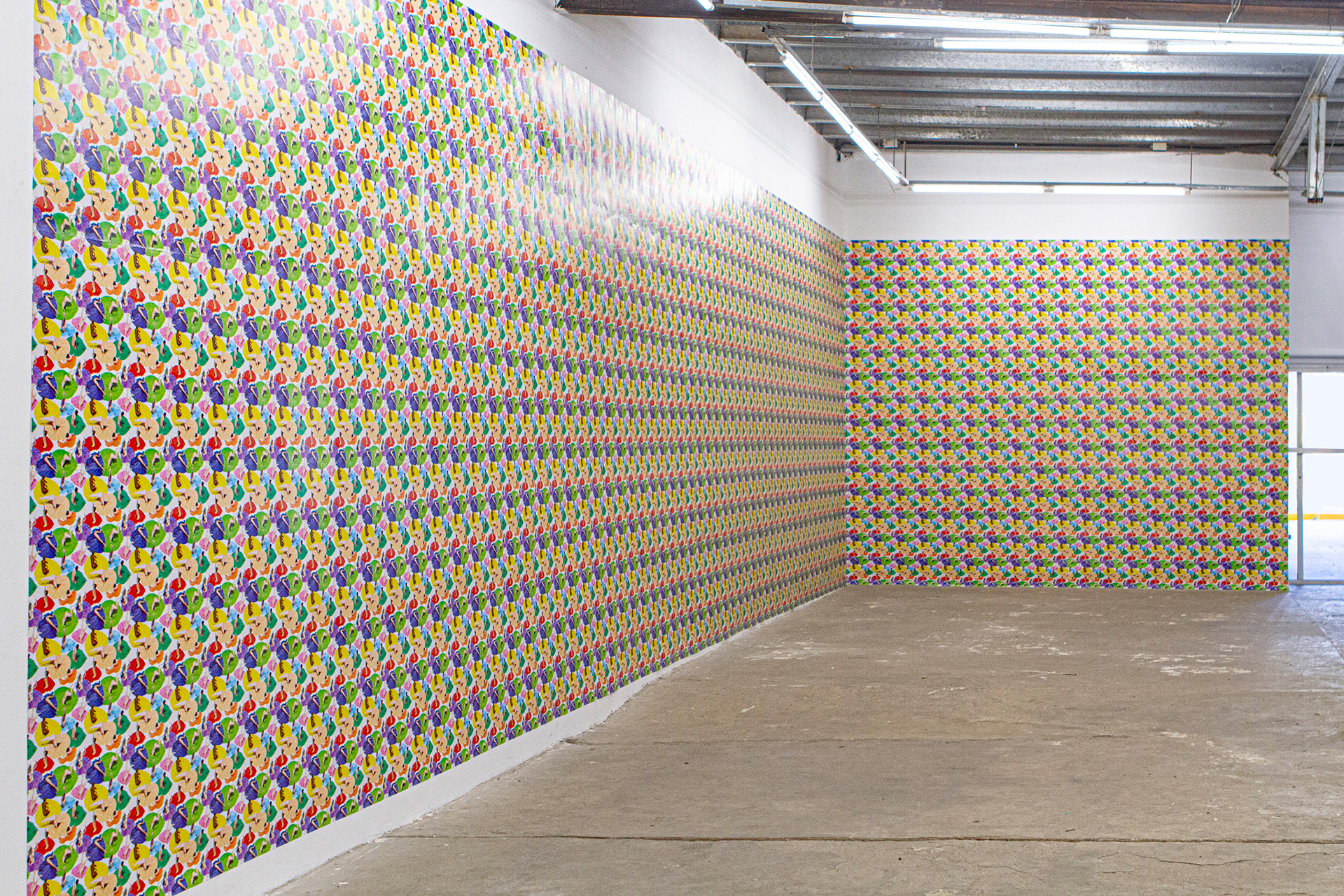 JOAQUIN WALL & JULIA SBRILLER & ROCO CORBOULD / TORONTOIDES