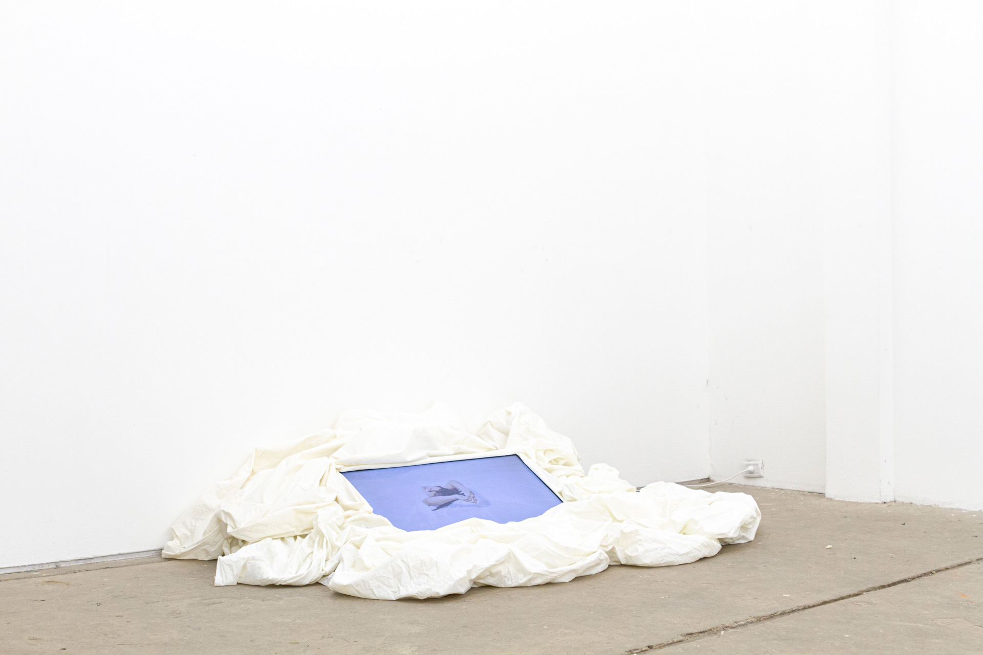 JOAQUIN WALL & JULIA SBRILLER & ROCO CORBOULD / TORONTOIDES