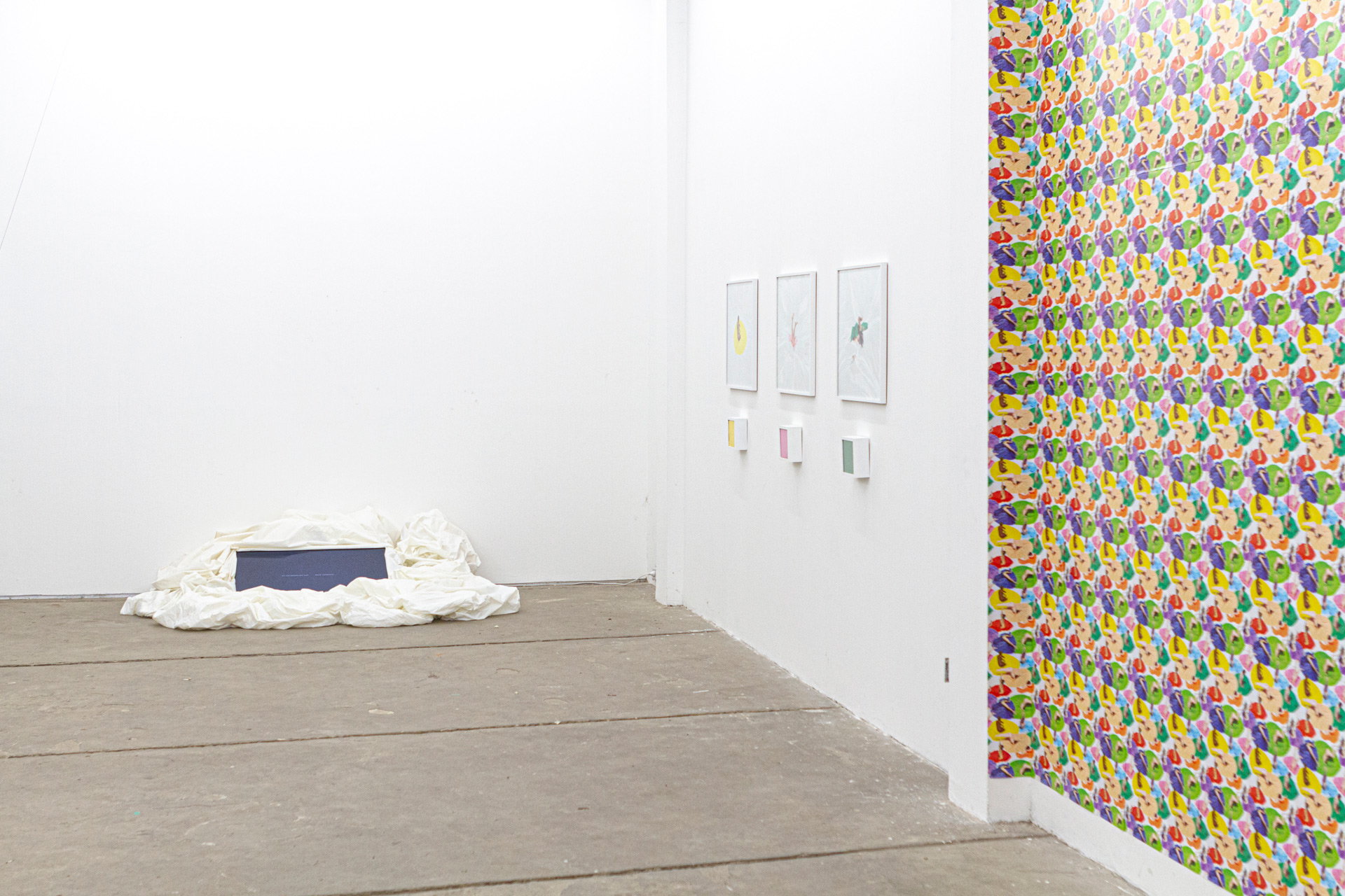 JOAQUIN WALL & JULIA SBRILLER & ROCO CORBOULD / TORONTOIDES